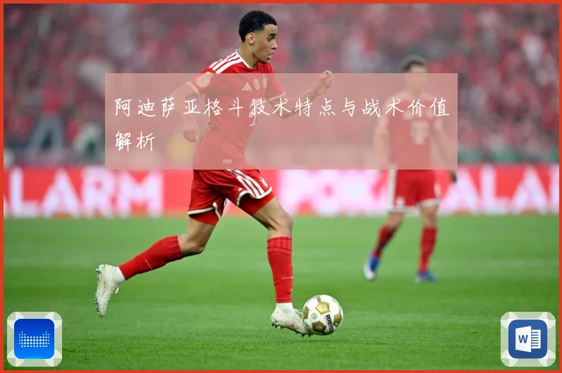 阿迪萨亚格斗技术特点与战术价值解析