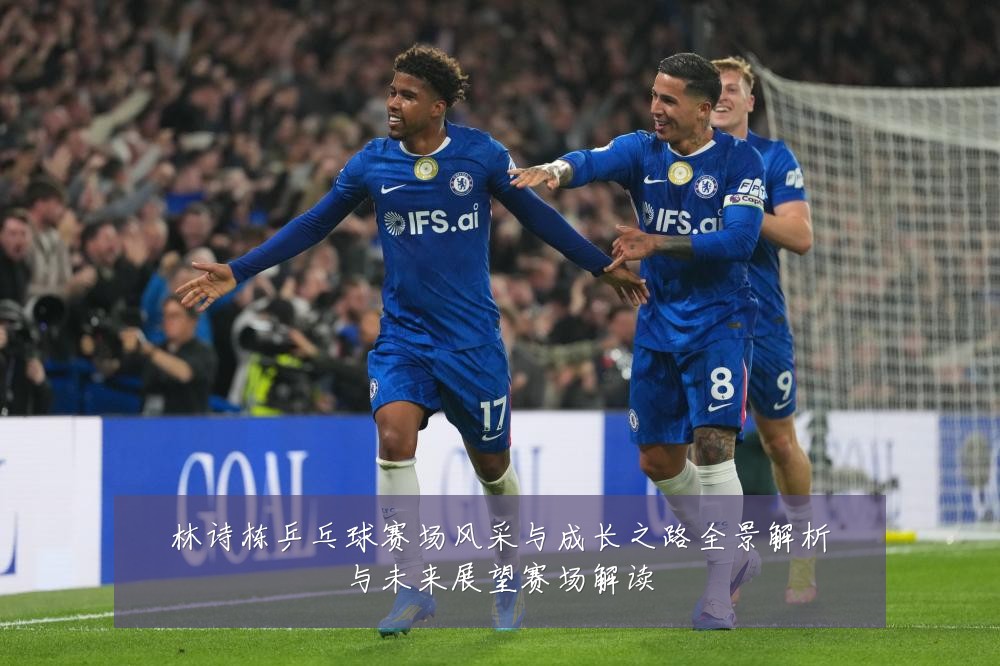 林诗栋乒乓球赛场风采与成长之路全景解析与未来展望赛场解读