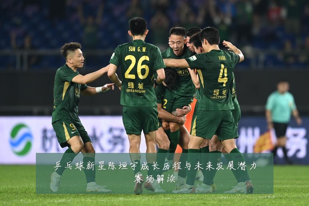 乒乓球新星陈垣宇成长历程与未来发展潜力赛场解读